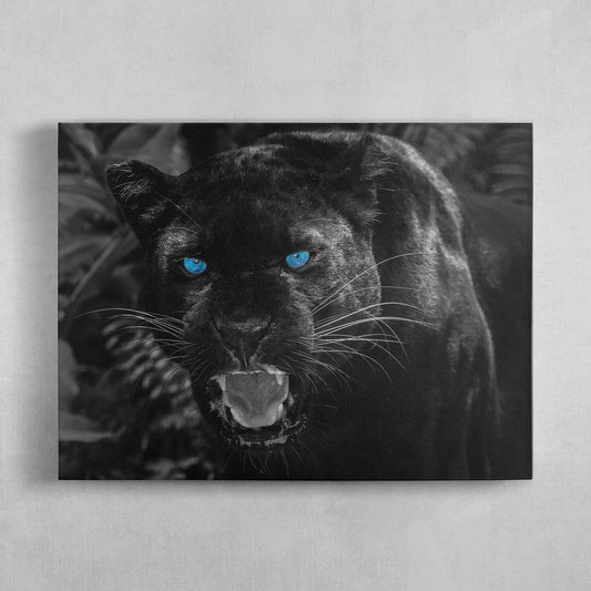 Blue Eyes Black Panther