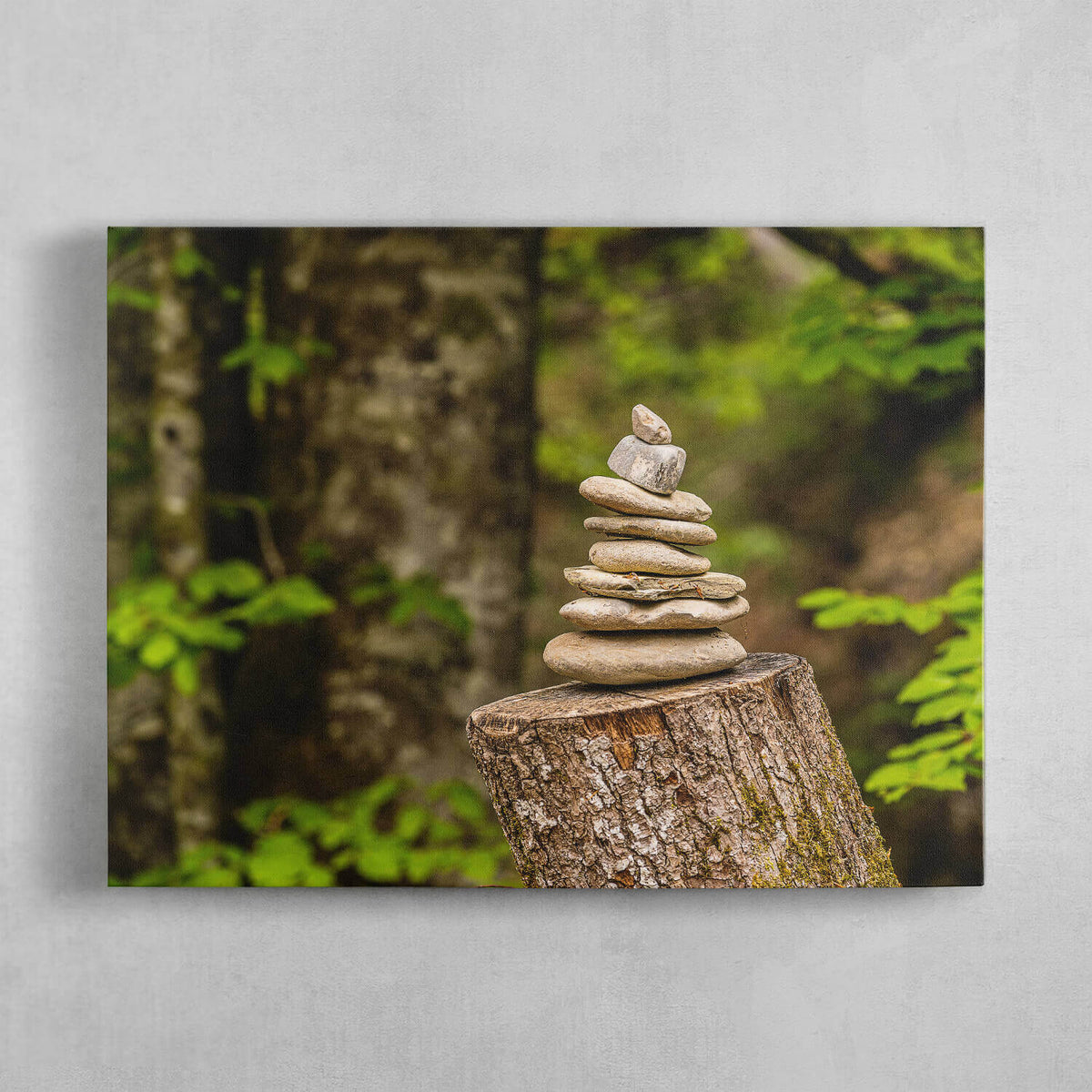 Cairn In Nature