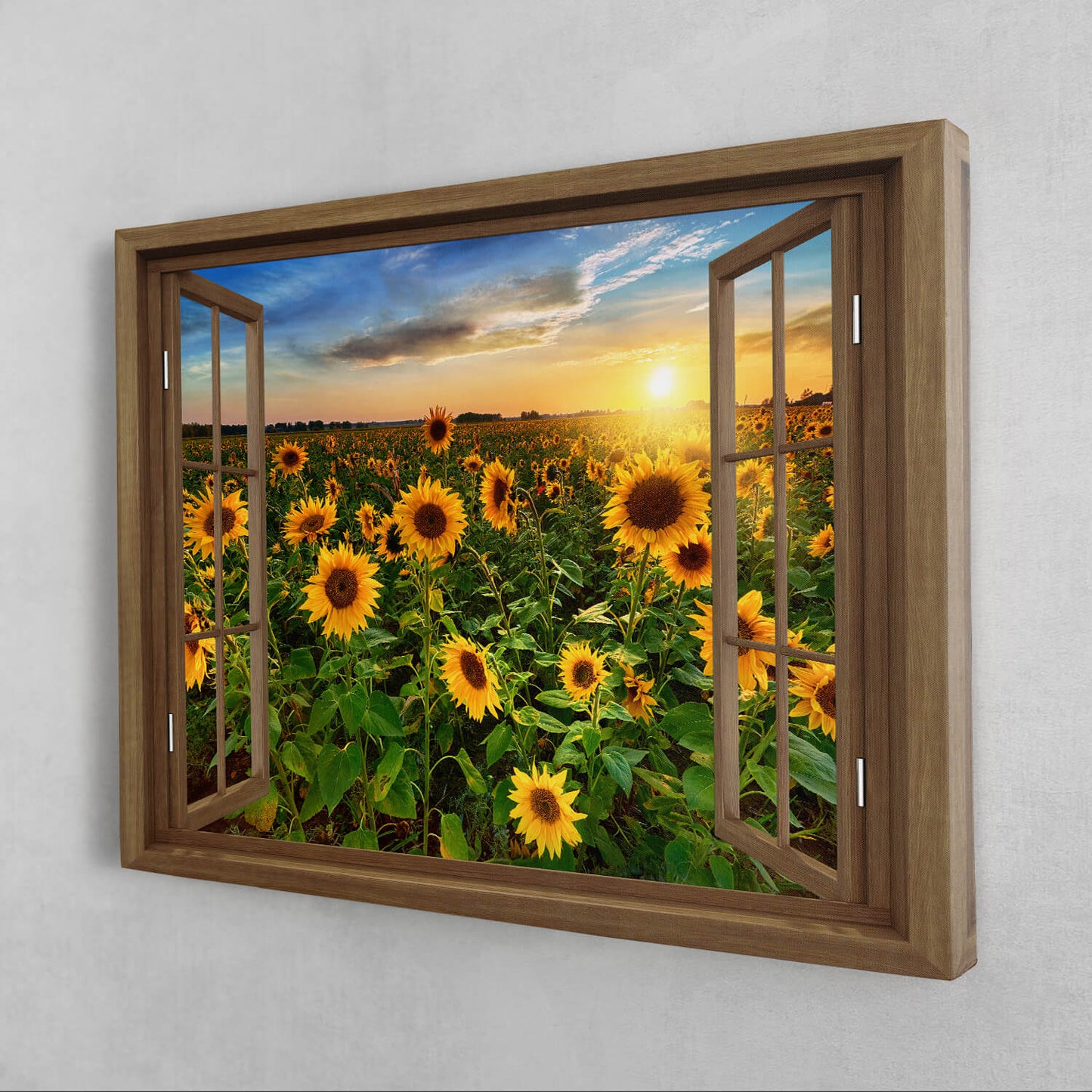 Window To The Sunflower Field