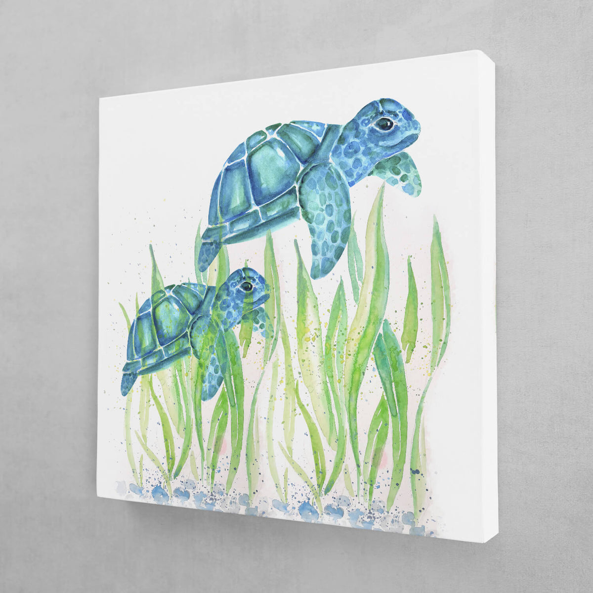Turtles Seagrass