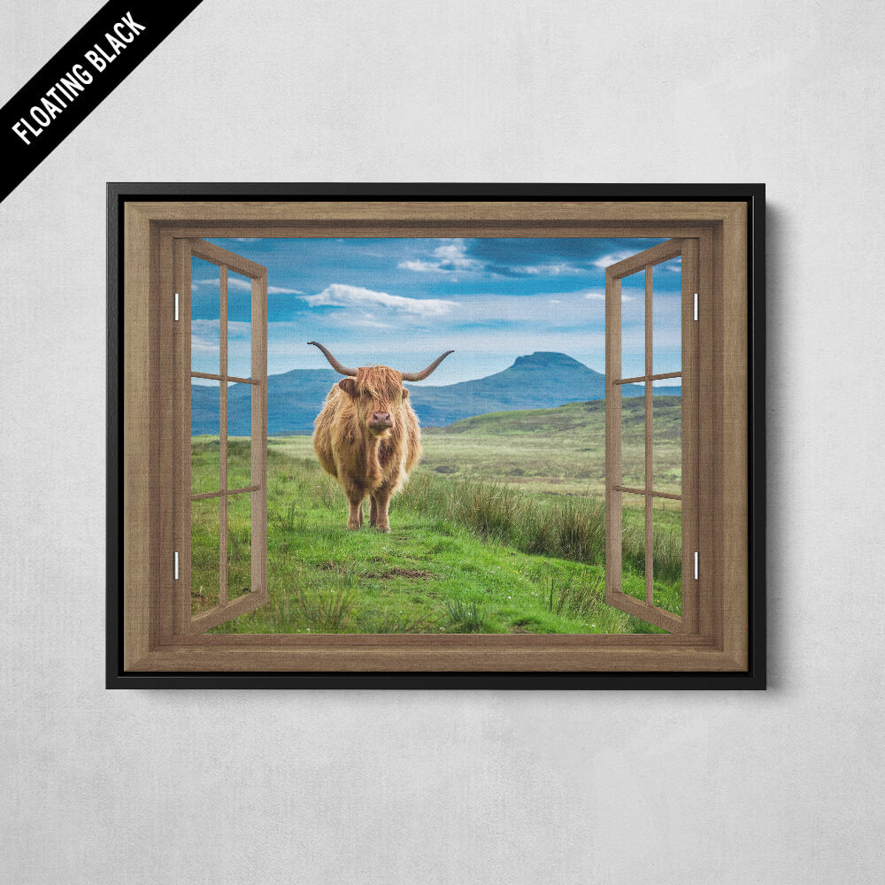 Window To The Highland Cow