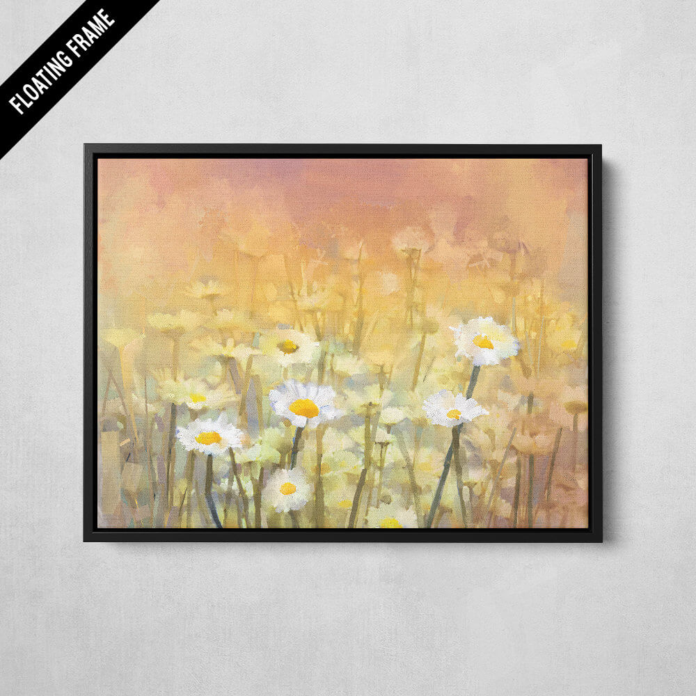 Daisies In A Meadow