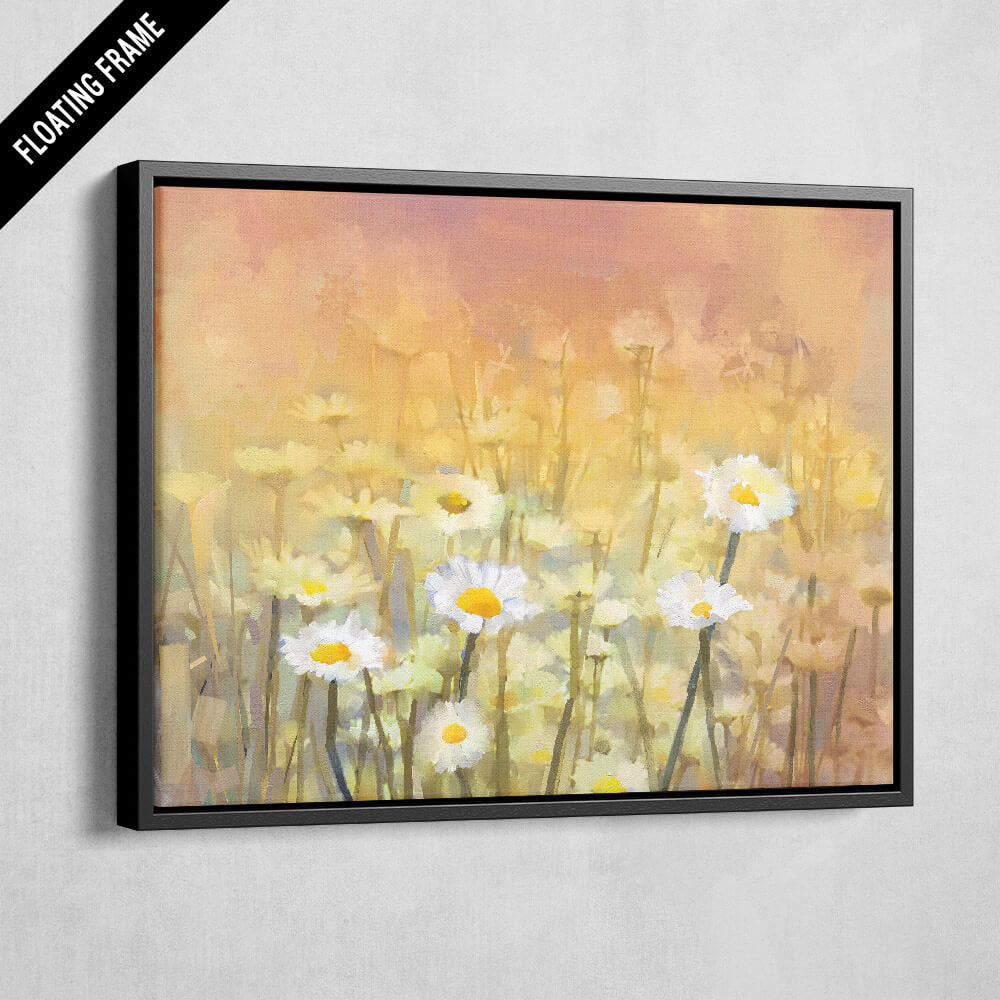 Daisies In A Meadow