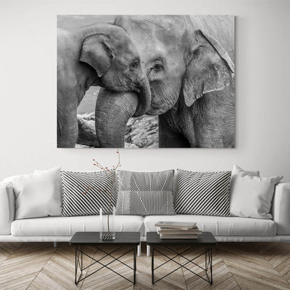 Cuddling Elephants