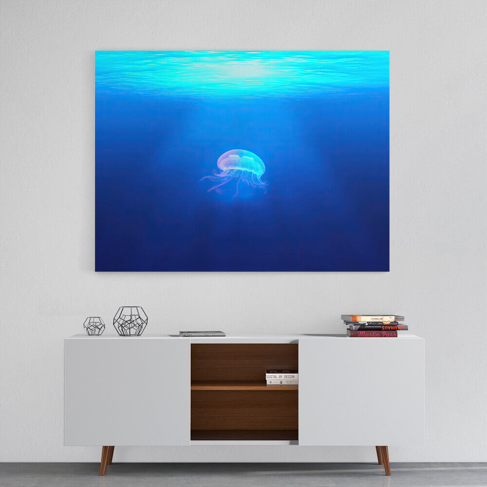 Solo Jellyfish
